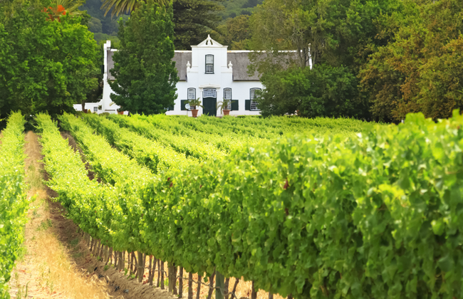Whale Watching and Wine Tasting - Private Tour - Photo 2